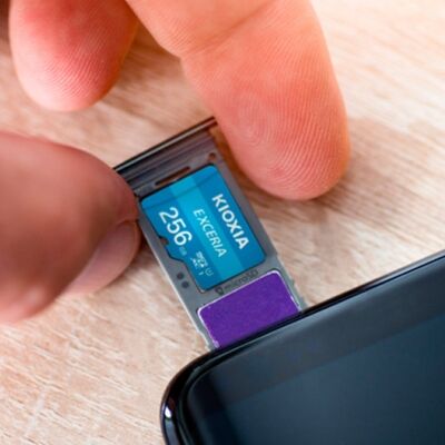 Kioxia 256GB Exceria Micro SDXC UHS-1 C10 100MB/sn Hafıza Kartı LMEX1L256GG2