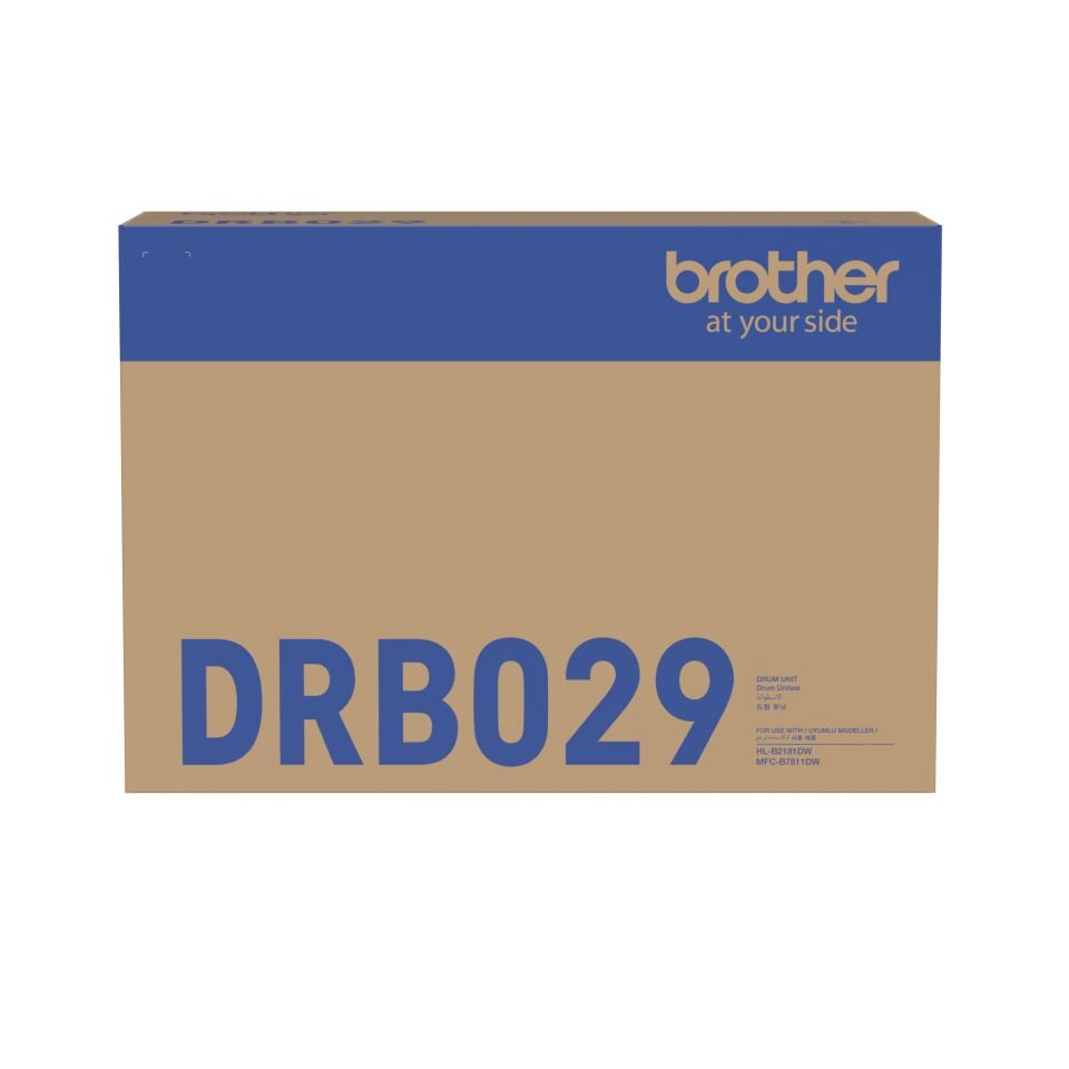 Brother DRB029 Toner Box Siyah Drum Ünitesi (12000 Sayfa)